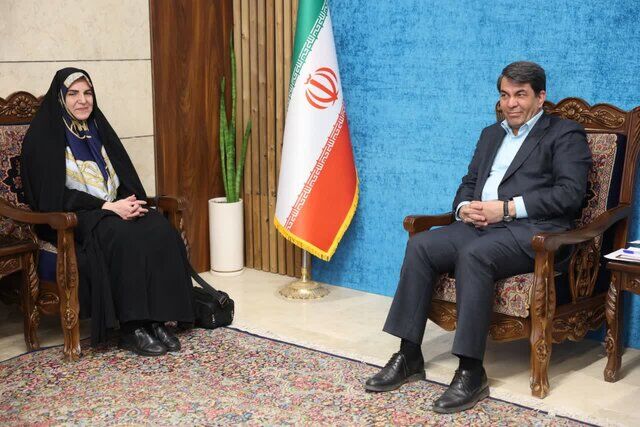 هیچ خط قرمزی برای خلع ید از بهرهبرداران معادن غیرفعال وجود ندارد هیچ خط قرمزی برای خلع ید از بهرهبرداران معادن غیرفعال وجود ندارد