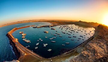 فصلی تازه در همکاری‌های شیلاتی ایران و نروژ آغاز شد