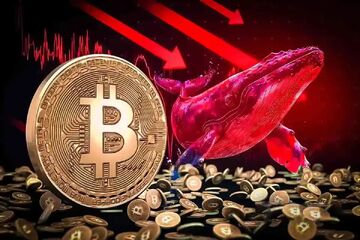 معامله نهنگ بیت کوین با اهرم ۴۰ برابری روی سقوط بازار