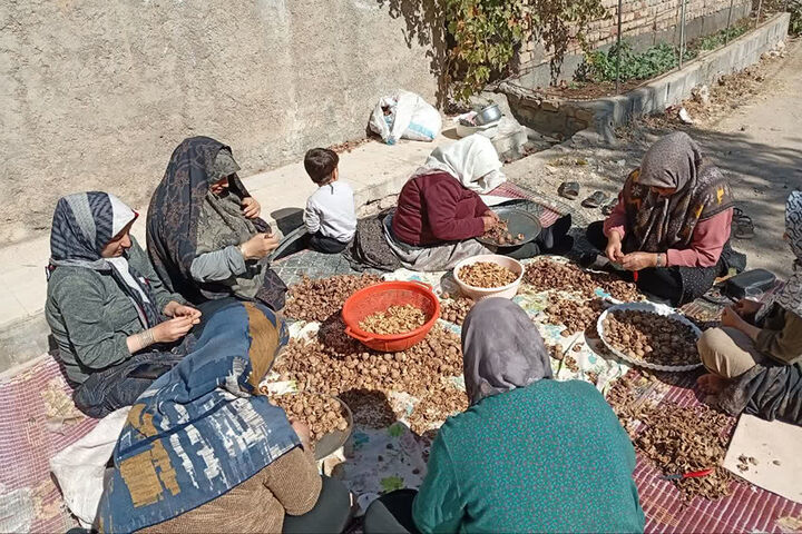 کارآفرینی در چهاردیواری خانه| صادرات در مقیاس جهانی