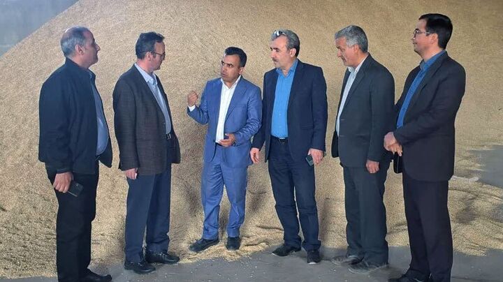 تسویه بدهی ۴۸ میلیارد تومانی جهاد کشاورزی به شرکت‌های تولید کننده بذر خراسان رضوی