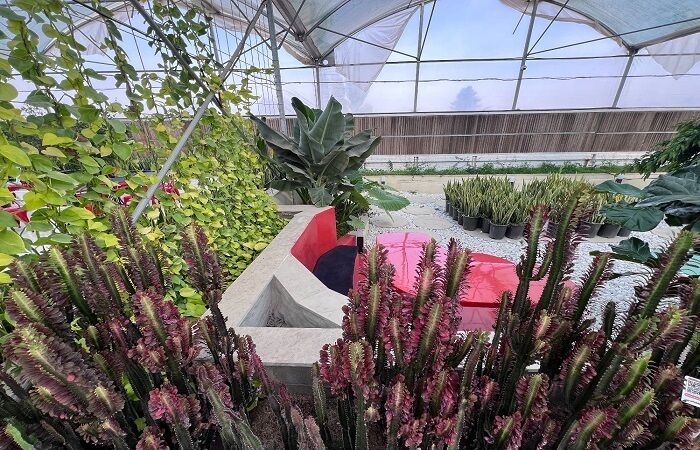 افتتاح نخستین مجتمع گردشگری کشاورزی قزوین