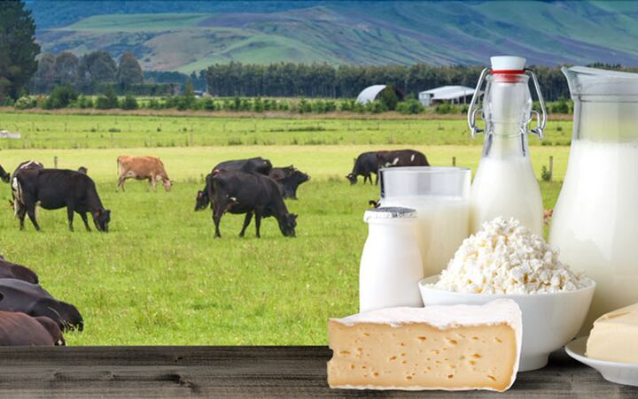 افزایش قیمت لبنیات؛ علت چیست؟ افزایش قیمت لبنیات؛ علت چیست؟