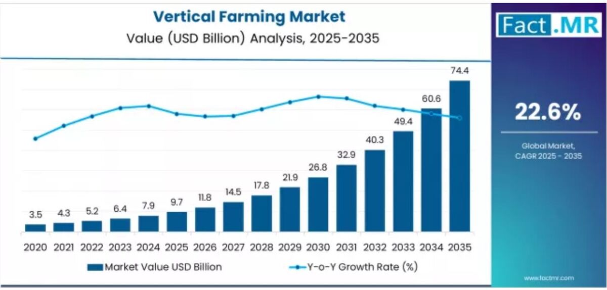 ارزش ۹.۶۶ میلیارد دلاری بازار جهانی کشاورزی عمودی| سهم ۶۸.۷ درصدی بخش هیدروپونیک از بازار