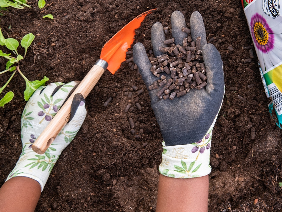 در فصل پاییز چگونه خاک را برای سرما و باردهی سال بعد آماده کنیم؟