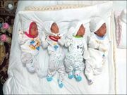 تداوم اجرای طرح حمایت از خانواده‌های دارای فرزندان چندقلو