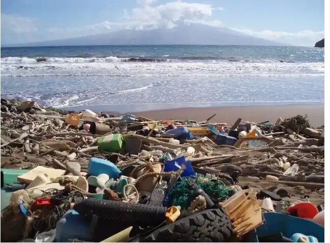 ابتکار جدید فائو برای مدیریت پسماندهای پلاستیکی دریایی