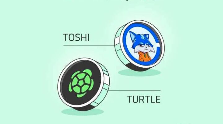 دو ارز دیجیتال جدید در صرافی بیت‌پین لیست شد