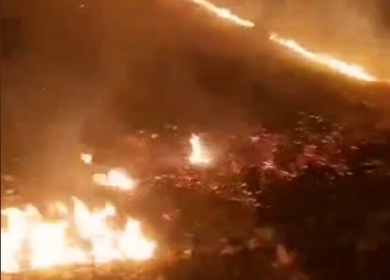 بی توجهی گردشگران و مسافران، جنگل های سوادکوه و گلوگاه را به آتش کشید