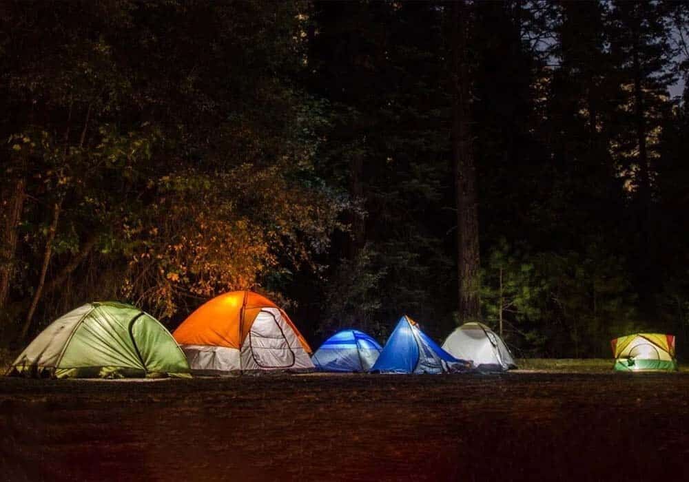 اقامت شبانه گردشگران در جنگلهای آمل ممنوع است