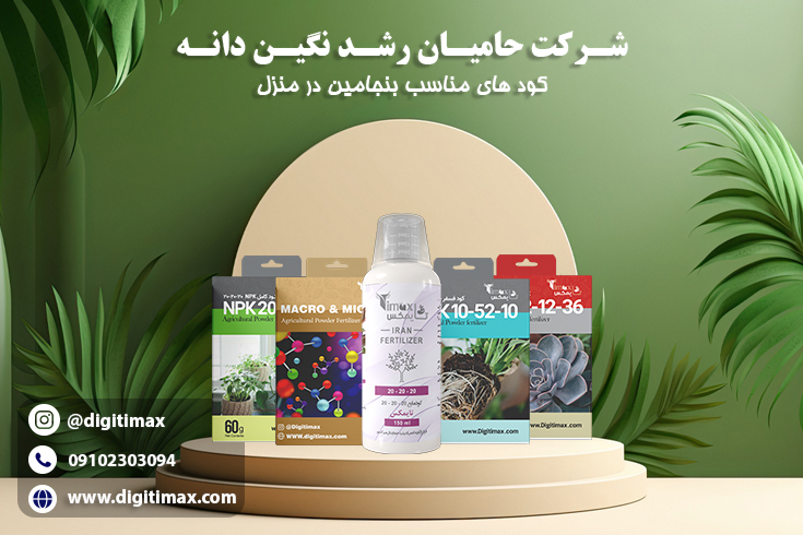 نگهداری بنجامین در خانه + معرفی بهترین تقویت کننده