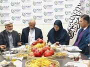 همکاری‌های ایران و افغانستان در حوزه قرنطینه و بهداشت گیاهی تقویت می‌شود