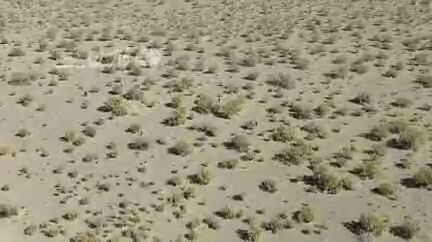 رصد پهپادی اتباع غیرمجاز درحال ورود به کرمان