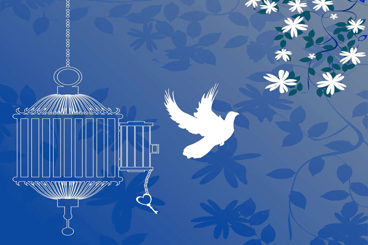 آزادی تمامی مادران زندانی جرائم مالی غیرعمد تا سقف ۲۵۰ میلیون تومان به همت بانک پارسیان