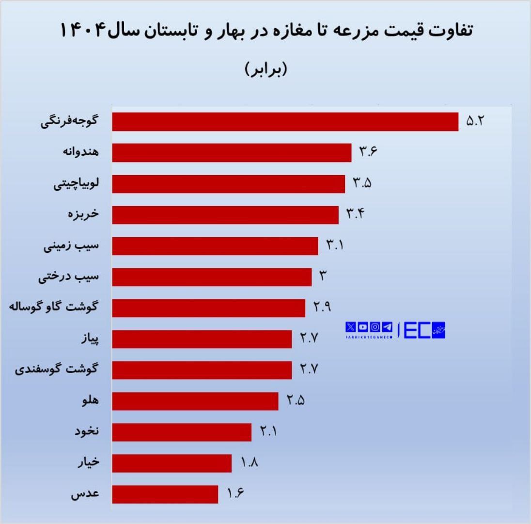 ماجرای فاصله ۳ تا ۵ برابری قیمت لوبیا بین مزرعه تا مغازه چیست؟