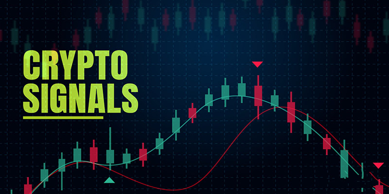 سیگنال ارز دیجیتال، راهی مطمئن برای ورود حرفهای به بازارهای پرنوسان