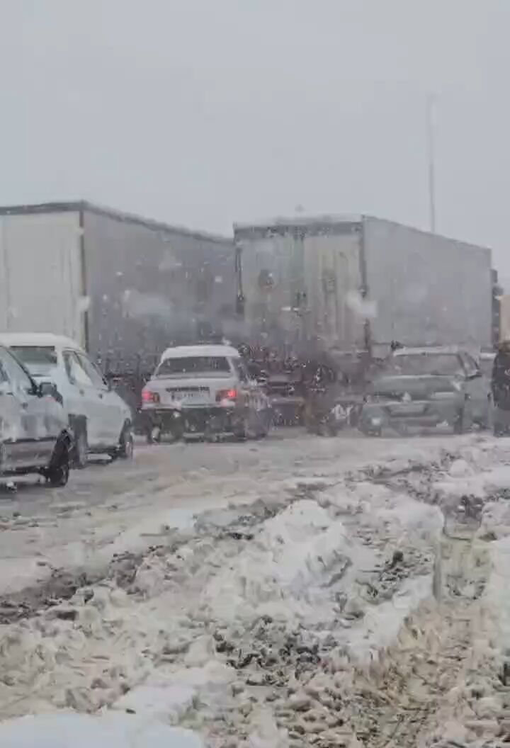 گرفتار شدن خودروها در برف سنگین مرز تمرچین