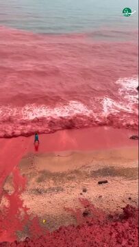 ساحل سرخ جزیره هرمز بعد از بارش‌های اخیر