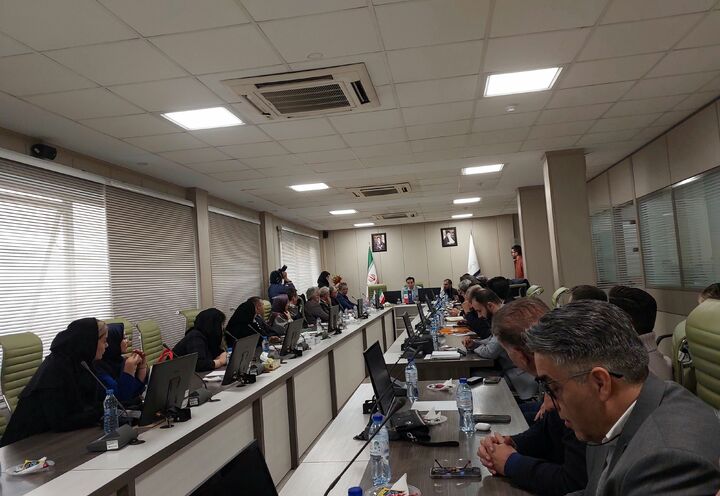 مقوا در بنبست ارزی| ثبتسفارش کنسرسیومی برای مهار بازار مقوا در بنبست ارزی| ثبتسفارش کنسرسیومی برای مهار بازار