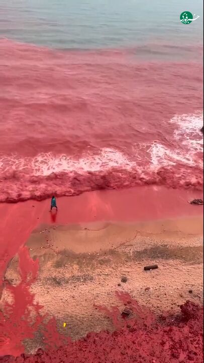 ساحل سرخ جزیره هرمز بعد از بارش‌های اخیر