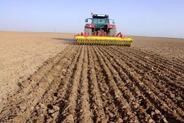 قاچاقچی گندم در لرستان ۱۱ میلیارد تومان جریمه شد