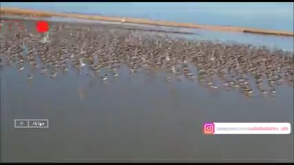 تالابی که خشکیده بود پر آب شد