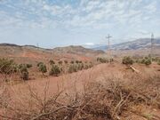 کشف زمین خواری ۳۰ هزار متری به ارزش ۳ همت در غرب تهران