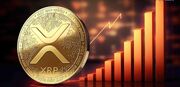 افزایش دارایی‌های ETF های XRP به ۹۴۱.۷ میلیون دلار