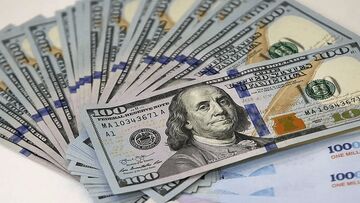 دولت فرایند تک‌نرخی کردن ارز را کلید زد