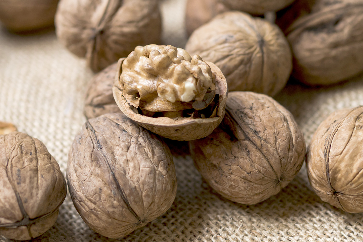 پیشبینی قیمت گردو در سال ۱۴۰۵