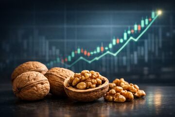 پیش‌بینی قیمت گردو در سال ۱۴۰۵