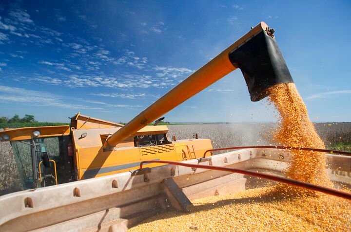 چشم‌انداز بازار غلات در سال ۲۰۲۶؛ کشاورزان به دانه‌های روغنی روی می‌آورند