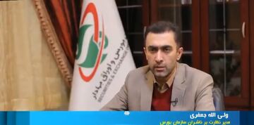 واریز سود سهام عدالت تا پایان دی‌ماه