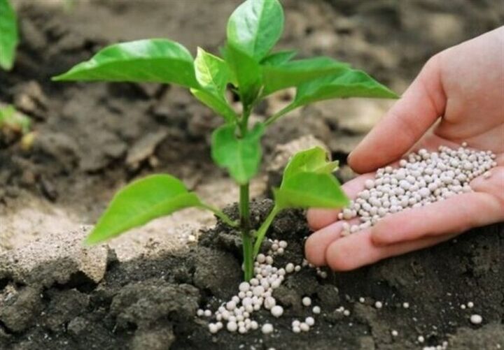 بیش از ۳۰ هزار تن کودهای کشاورزی یارانه‌دار توزیع شد