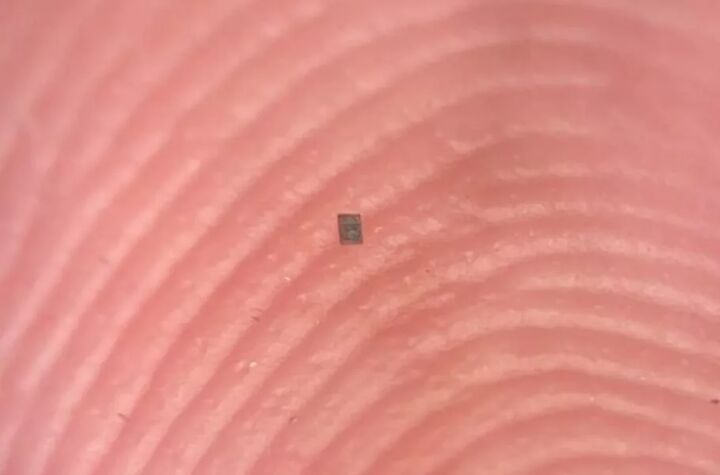 کوچک‌تر از دانه نمک؛ دانشمندان ریزترین ربات برنامه‌پذیر جهان را ساختند