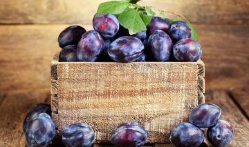 ایران در جایگاه ششم تولید جهانی آلو؛ ارزش ۱.۳ میلیارد دلاری صادرات آلو تازه