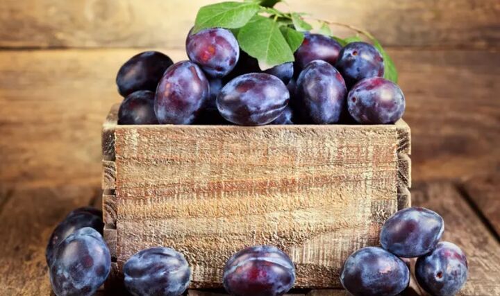 ایران در جایگاه ششم تولید جهانی آلو؛ ارزش ۱.۳ میلیارد دلاری صادرات آلو تازه