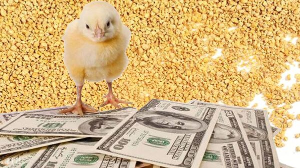 قیمت نهاده‌ها پس‌از حذف ارز ترجیحی مشخص شد