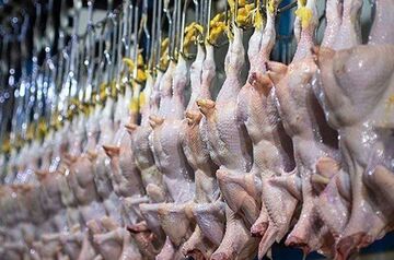 قیمت انواع مرغ ۱۵ مرداد ۱۴۰۵