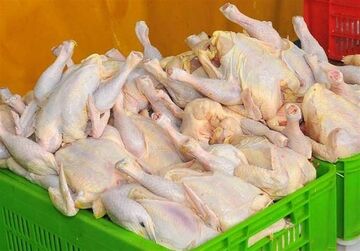 خرید حمایتی ۳۰ هزار تن گوشت مرغ در دستورکار قرار گرفت