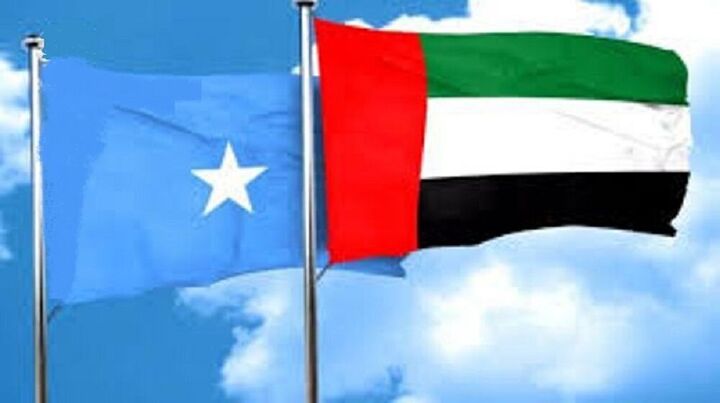 سومالی همه توافقنامه‌ها با امارات را لغو کرد