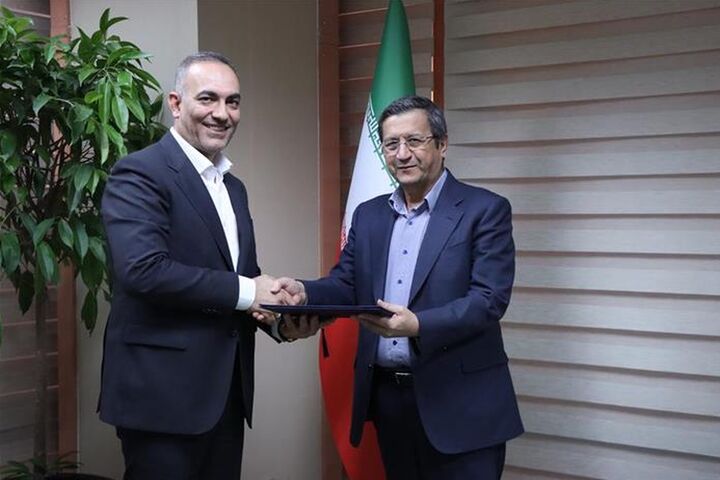 سرپرست معاونت تنظیم‌گری و نظارت بانک مرکزی منصوب شد