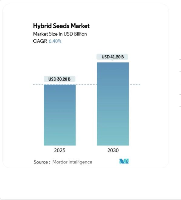 تحلیل بازار بذرهای هیبریدی؛ اندازه بازار جهانی تا ۲۰۳۰ به ۴۱.۲۰ میلیارد دلار می رسد