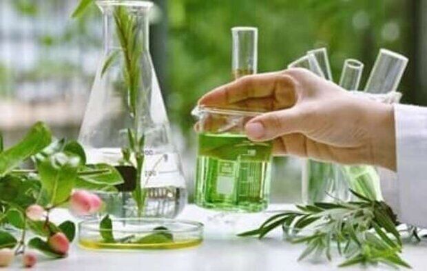 آغاز مرحله اول طرح توسعه اقتصاد زیستی در خراسان رضوی