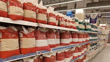 برنج هندی و پاکستانی ارزان شد| چه خبر از قیمت تخم مرغ؟