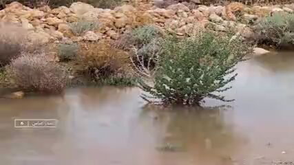 نگاهی به شاهکار زیبای ایرانی به قدمت ۱۶۰۰ سال