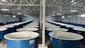 بررسی هزینه‌ پنهان در احداث استخر بتنی؛ چرا حرفه‌ای‌ها به سراغ نسل جدید استخرها می‌روند؟