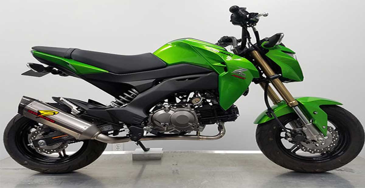 Kawasaki Z125 Pro
