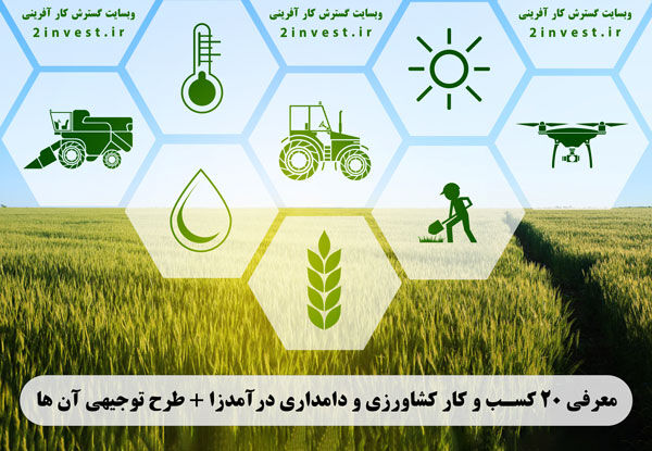 ۲۰ طرح توجیهی کسب و کار کشاورزی و دامپروری درآمدزا و پولساز