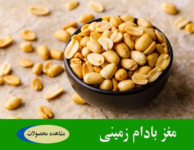 روایتی از کیفیت در شرکت صنایع غذایی مغزچین سبز